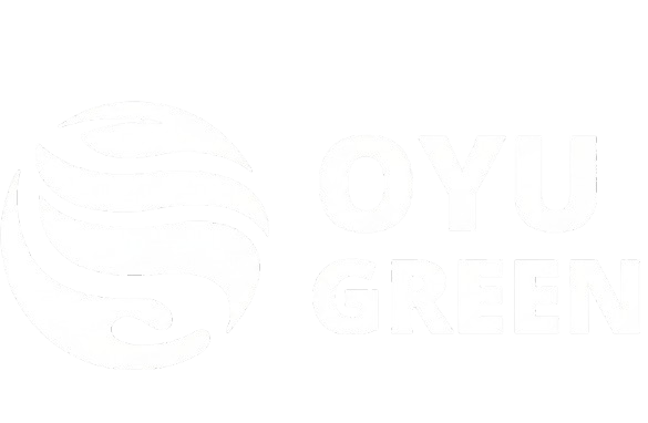 Gemini_Generated_Image_9lohyt9lohyt9loh-removebg-preview